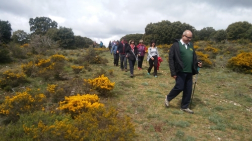 III Marcha San Olav (5)