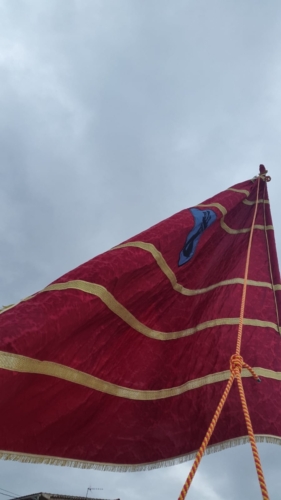 Pendon Tierra de Lara (12)