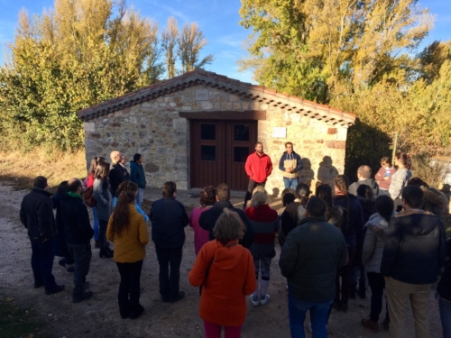 WhatsApp Image 2018-11-04 at 08.11.41