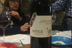 Cata-vino-y-queso-Lara-de-los-Infantes-2020-10