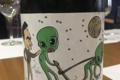 Cata-vino-y-queso-Lara-de-los-Infantes-2020-6