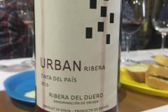 Cata-vino-y-queso-Lara-de-los-Infantes-2020-9