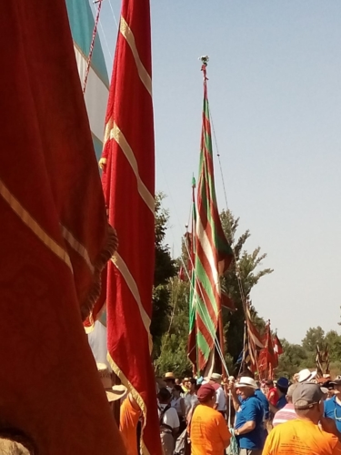 WhatsApp Image 2018-08-05 at 12.26.25