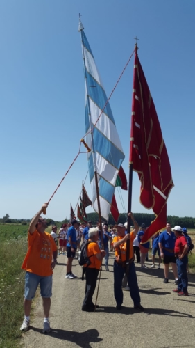 WhatsApp Image 2018-08-05 at 13.00.18