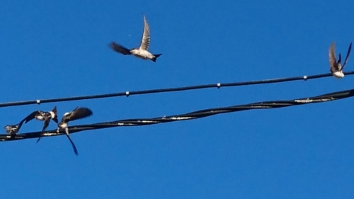 WhatsApp Image 2018-08-19 at 09.18.13(1)