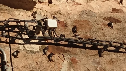 WhatsApp Image 2018-08-19 at 09.18.13