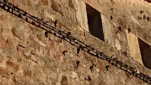 WhatsApp Image 2018-08-19 at 09.18.15