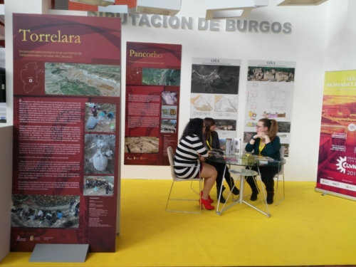 WhatsApp Image 2018-11-10 at 12.14.51